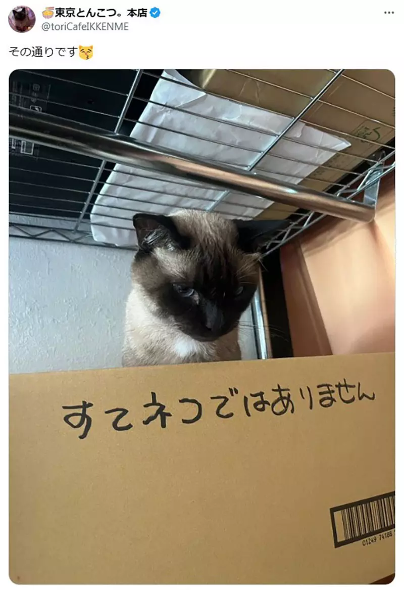 圖片3