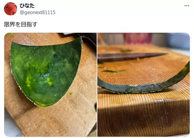 图片13