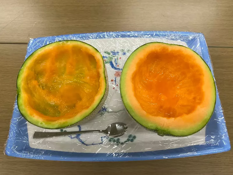圖片1