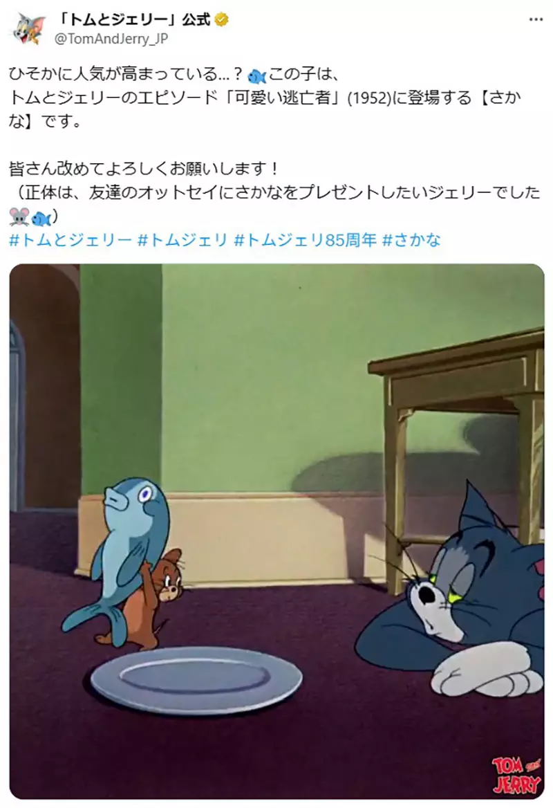 圖片14 圖片14
