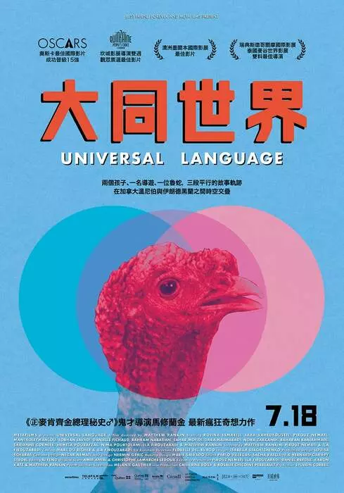 圖片12 圖片12
