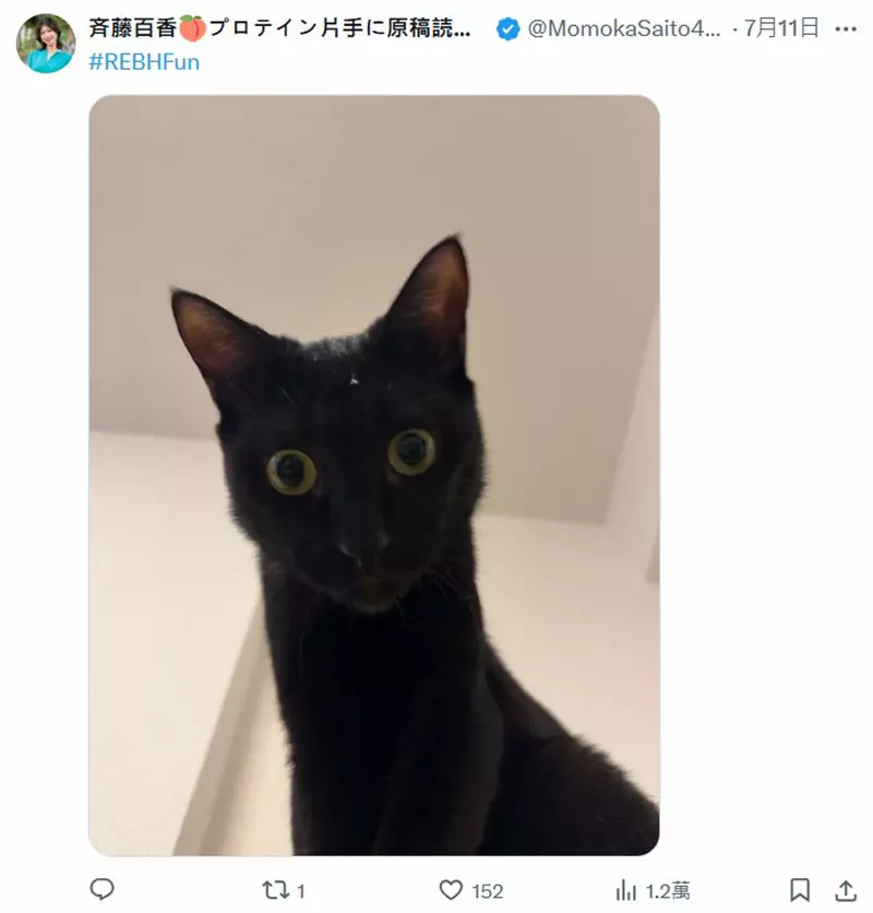 圖片33 圖片33