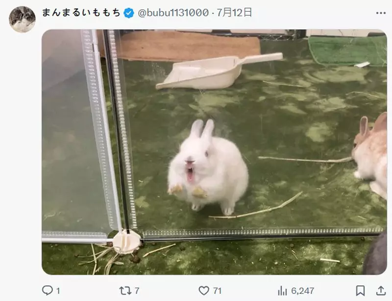 圖片31 圖片31