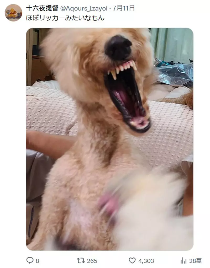 圖片7 圖片7