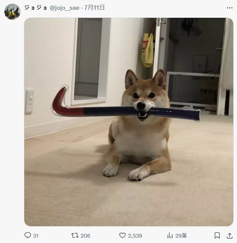 圖片9 圖片9