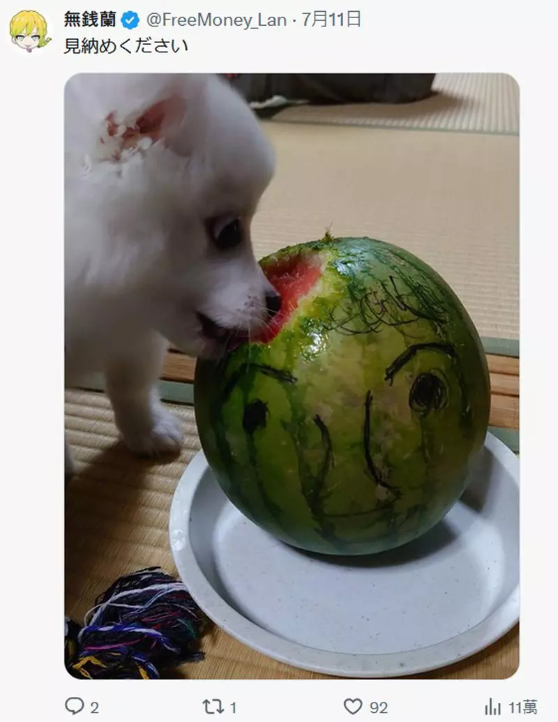 圖片21 圖片21