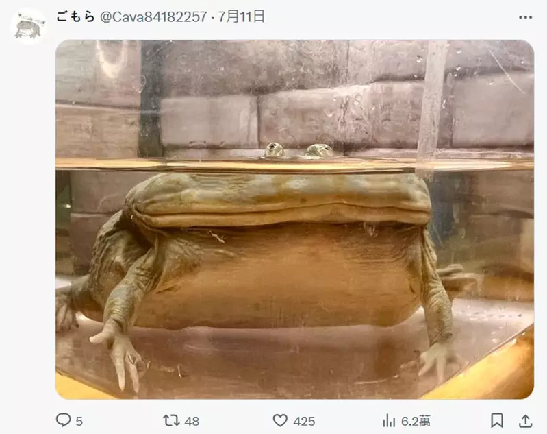 圖片23 圖片23