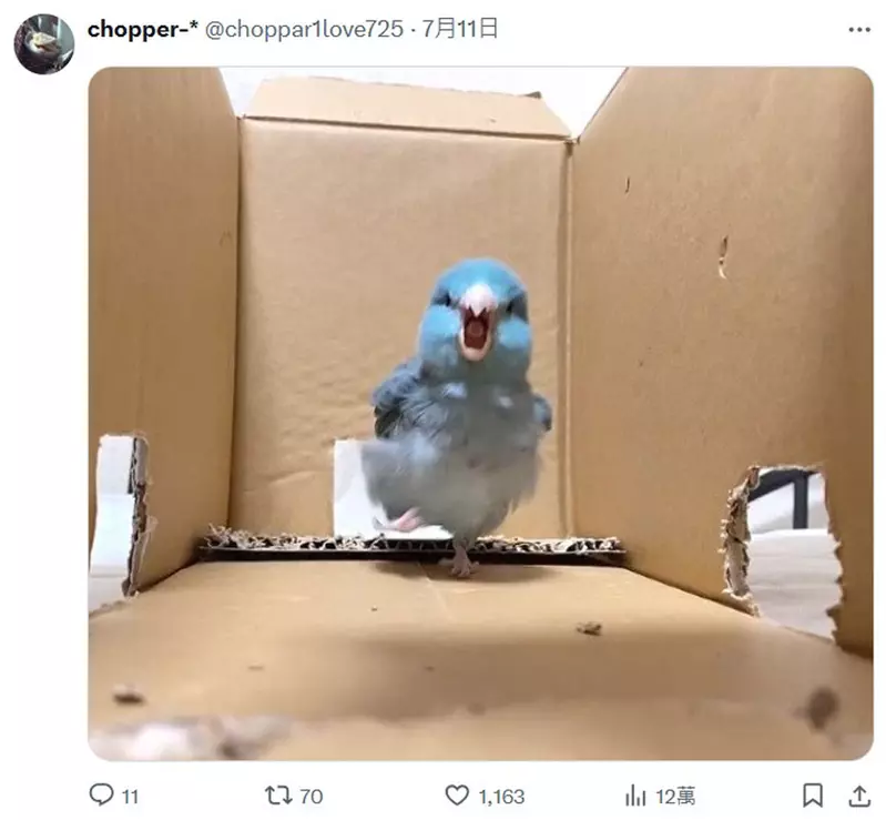 圖片25 圖片25