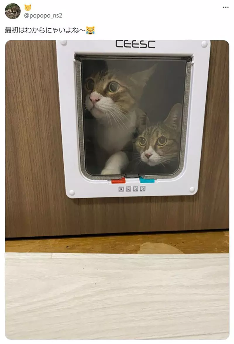 圖片3
