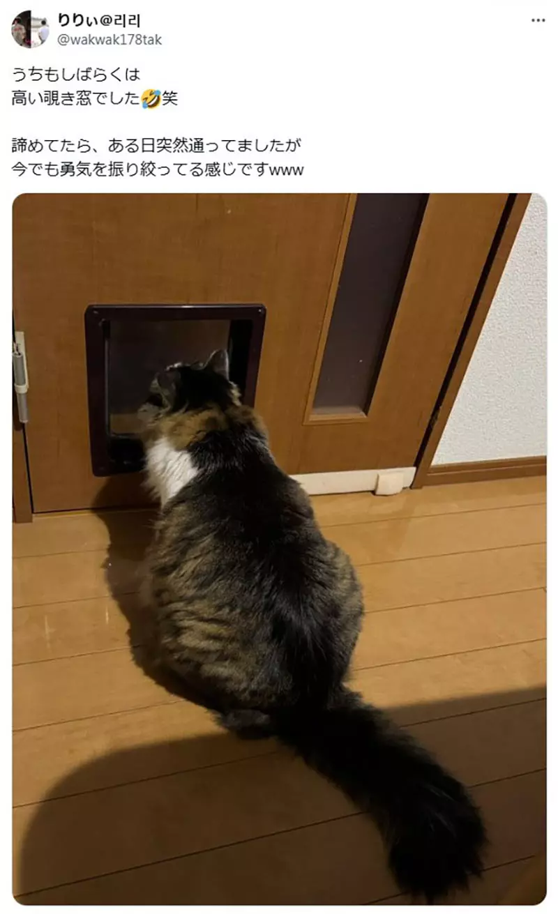 圖片4 圖片4