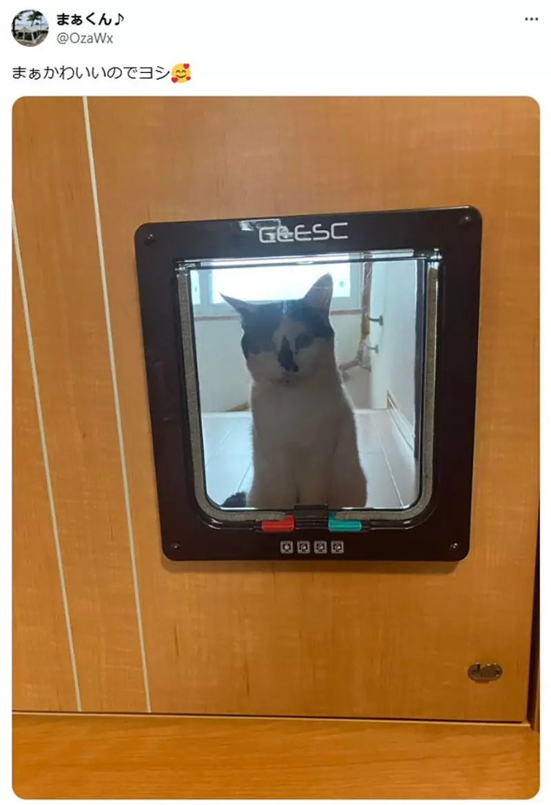 圖片5 圖片5