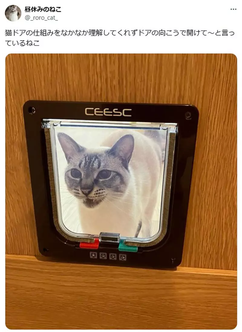 圖片2