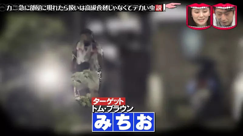 圖片5 圖片5