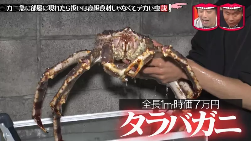 圖片1