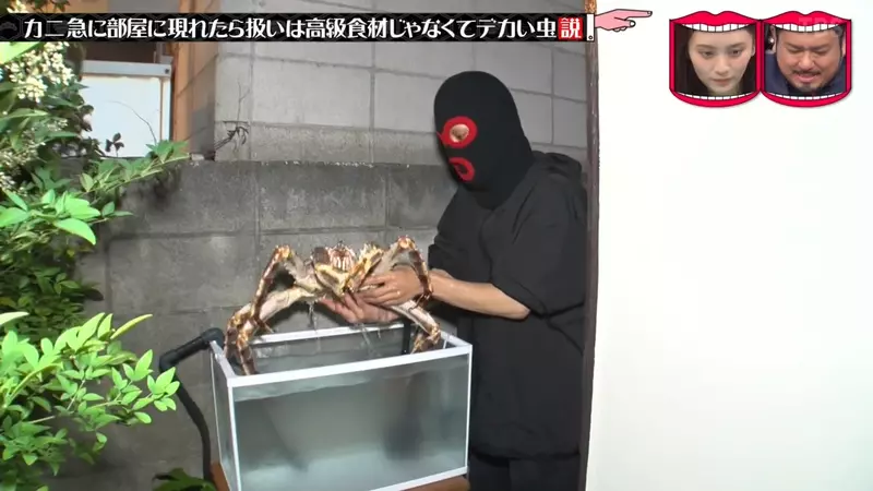 圖片3