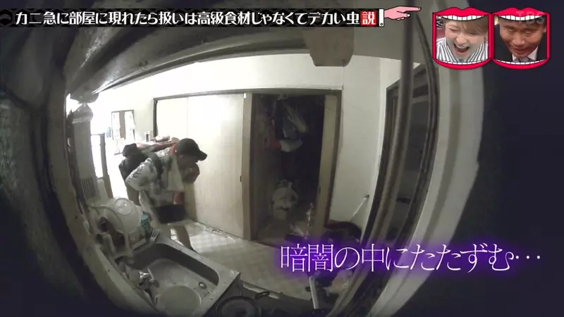 圖片12 圖片12