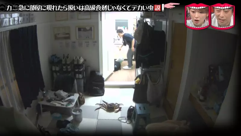 圖片16 圖片16