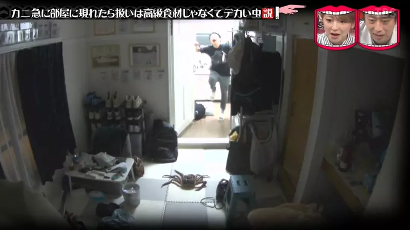 圖片17 圖片17