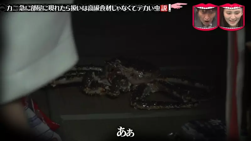 圖片11 圖片11