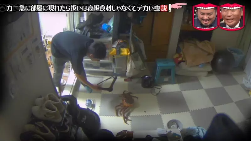 圖片20 圖片20