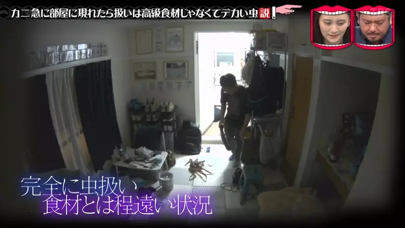 圖片21 圖片21