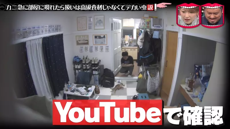 圖片31 圖片31