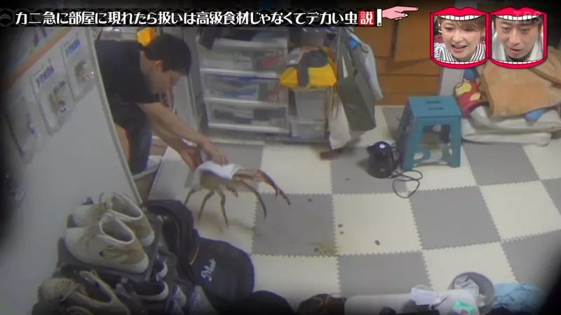 圖片32 圖片32