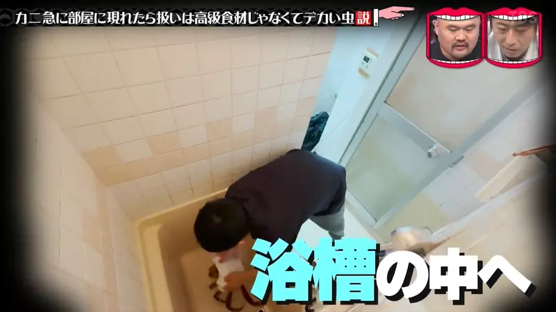 圖片33 圖片33