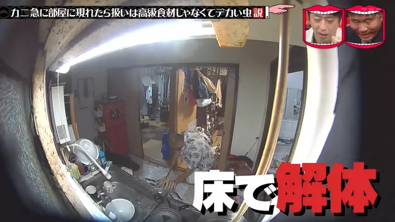 圖片24 圖片24