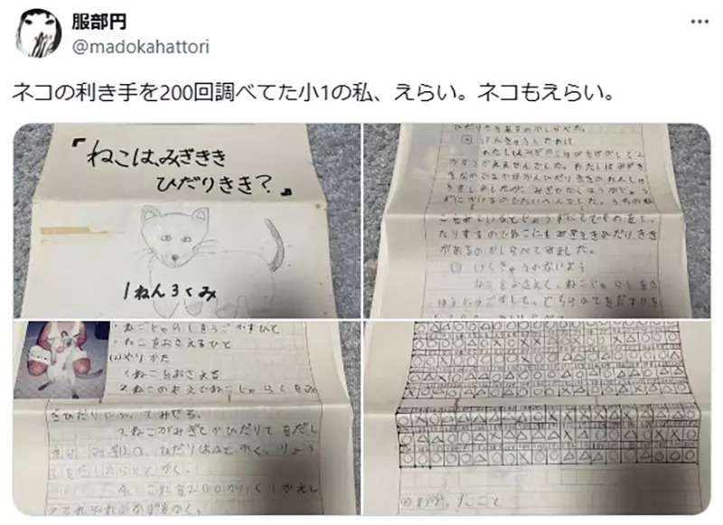 圖片2