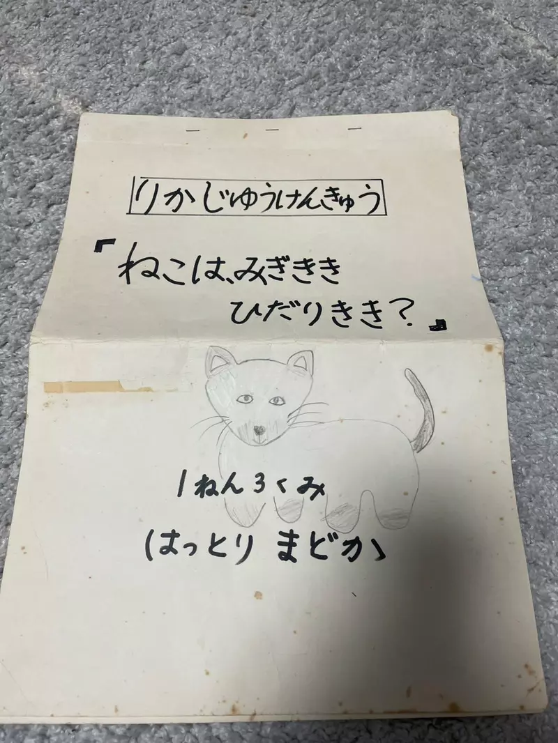 圖片4 圖片4