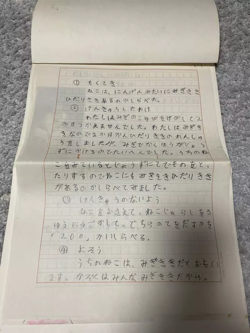 圖片5 圖片5