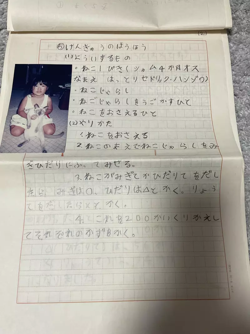 圖片6 圖片6