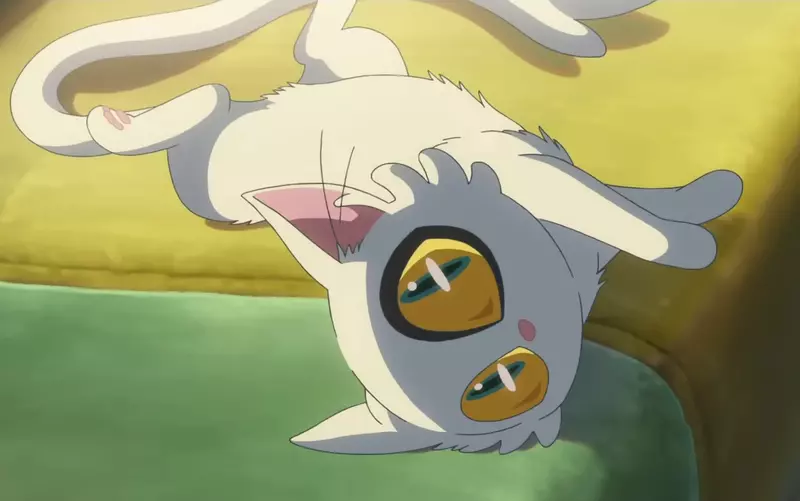 圖片1