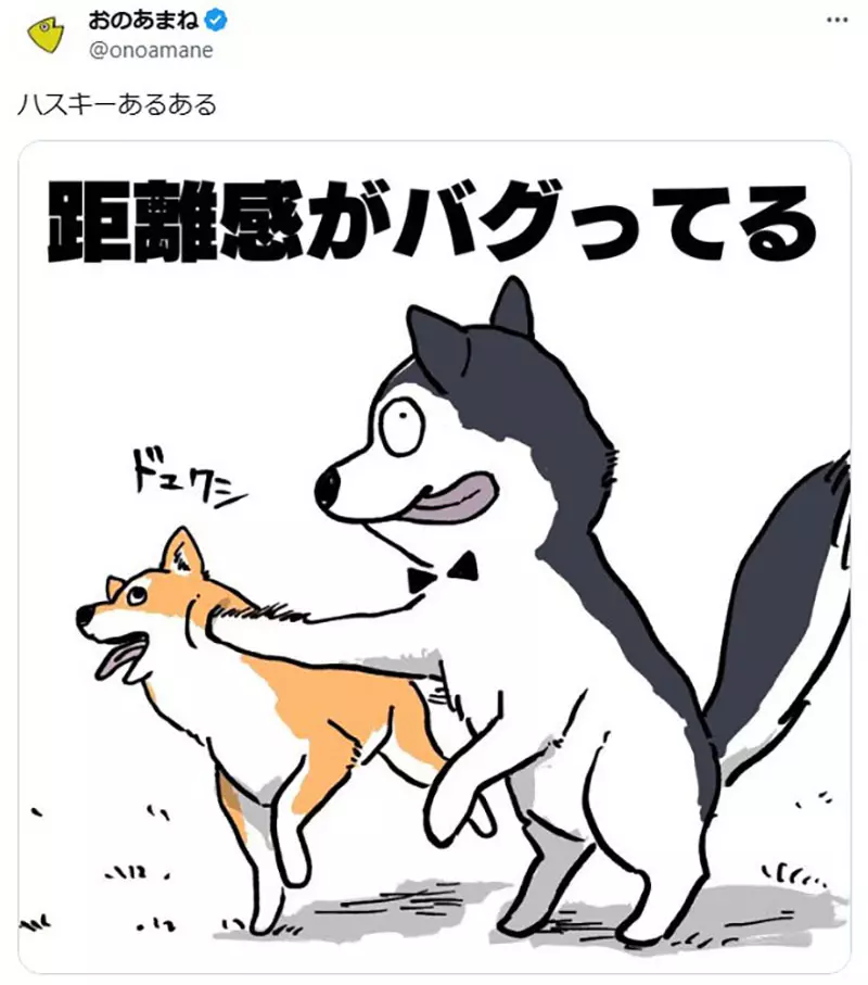 圖片2