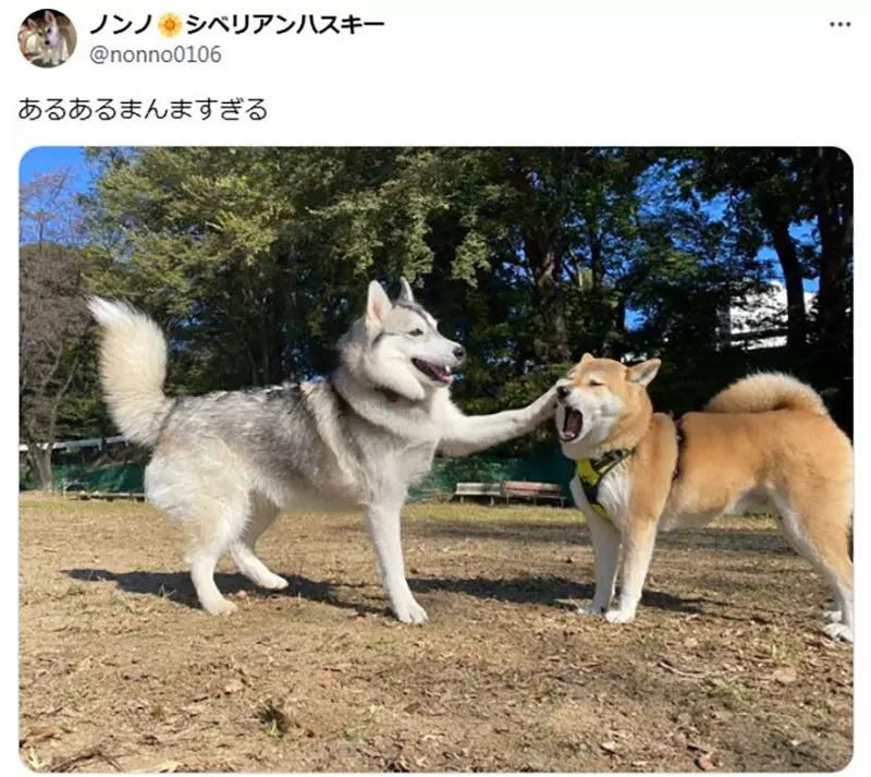 圖片3