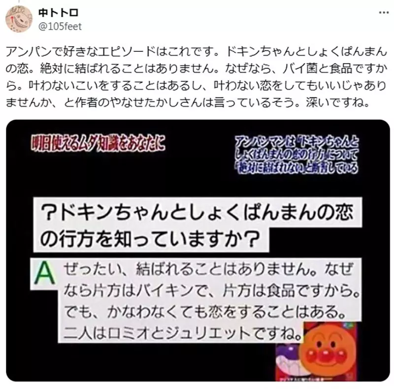 圖片14 圖片14