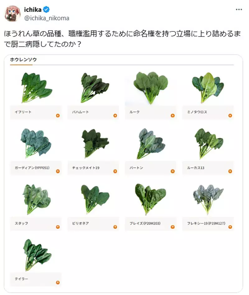 圖片2