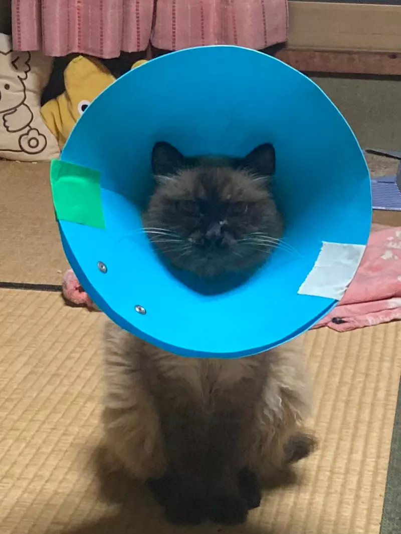 圖片3