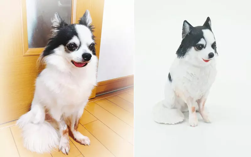 圖片2