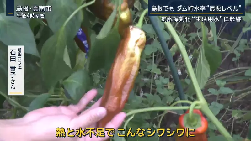 圖片4 圖片4