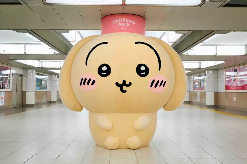 圖片19 圖片19