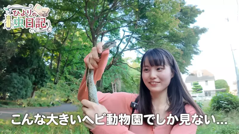 圖片1