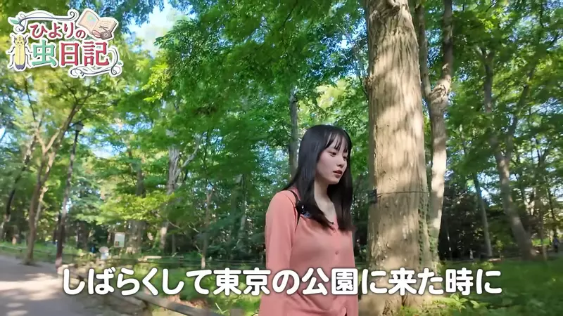 圖片3