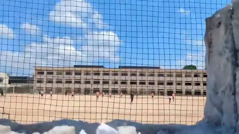圖片11 圖片11