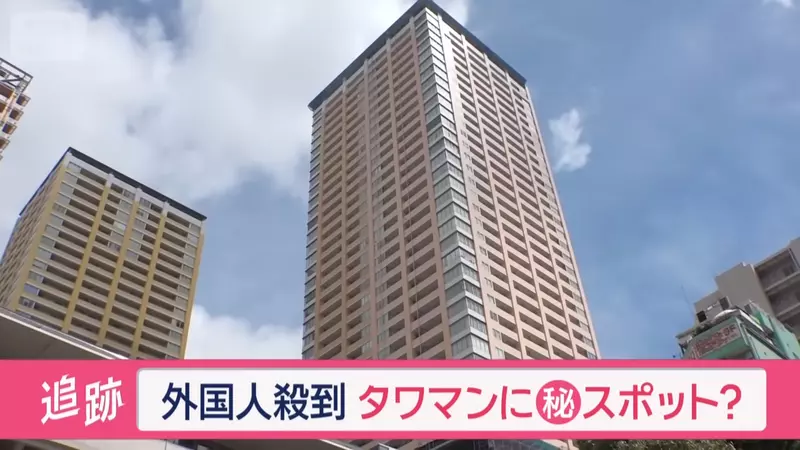 圖片2