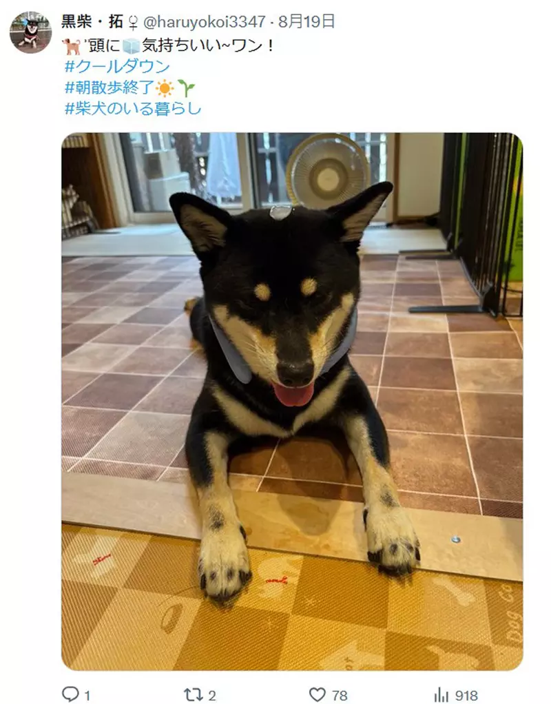 圖片2