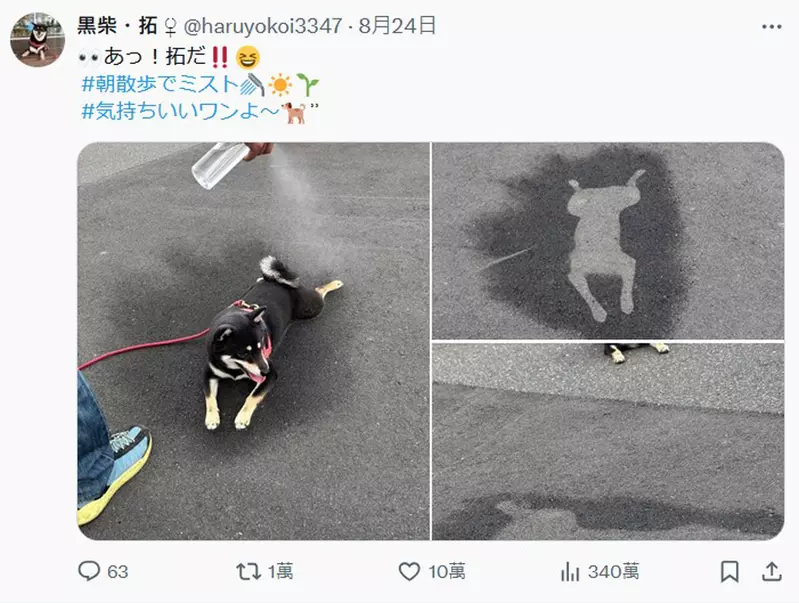 圖片3