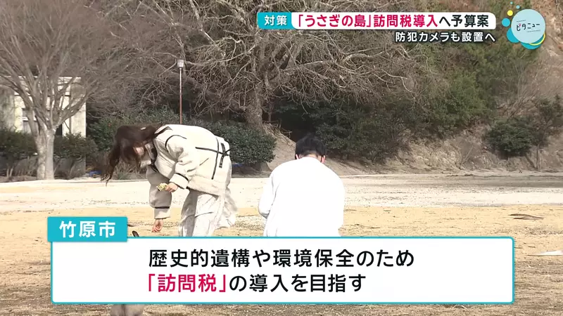 圖片3