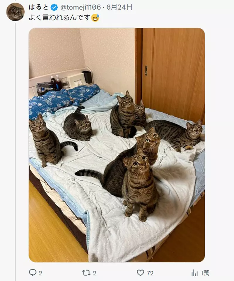 圖片2